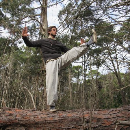 3 Taichi Course in Nosara Costa Rica