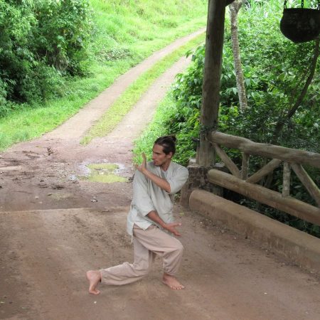 Nei Quan Qigong qigong in Nosara Costa Rica