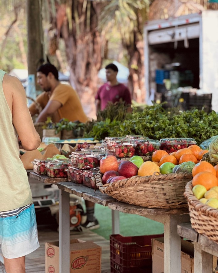 Local farmers market in Nosara Costa Rica with fresh organic fruits and community atmosphere