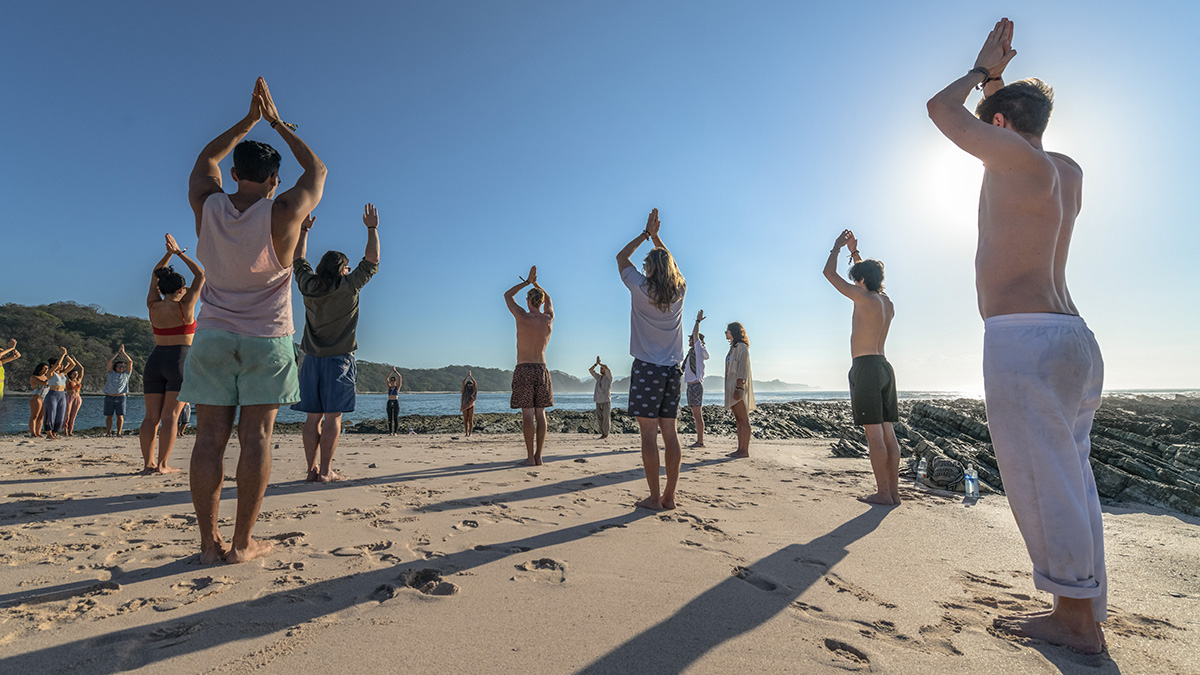 International Taijiquan Day and World Tai Chi and Qigong Day