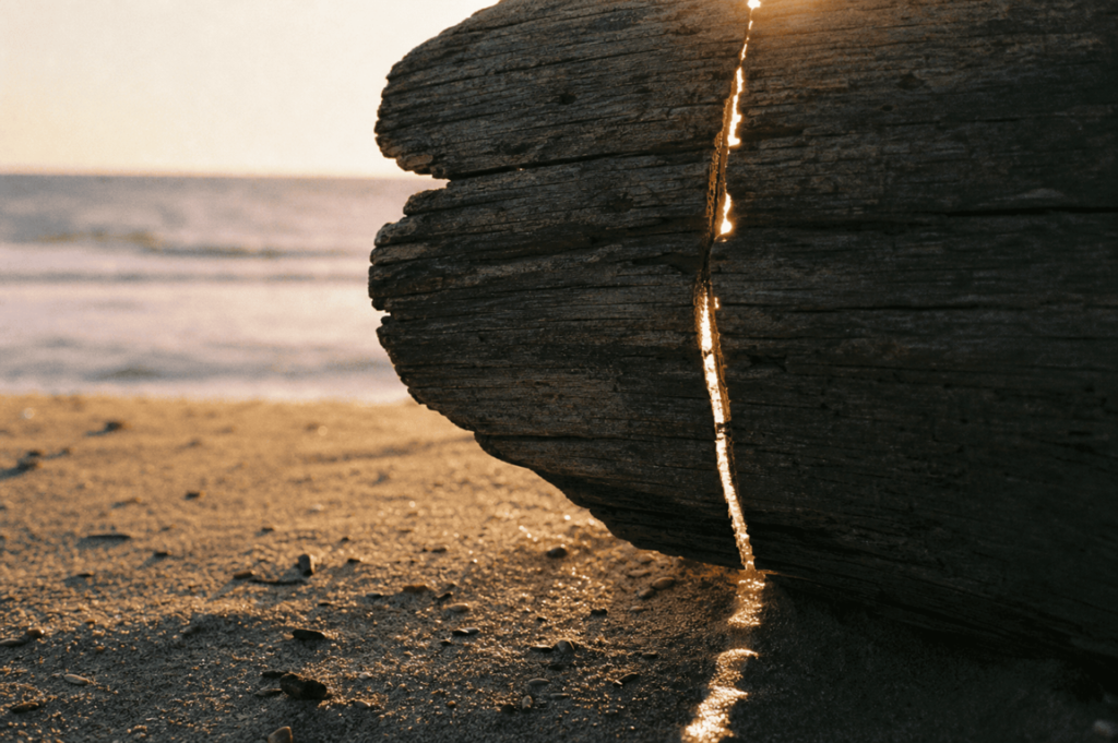 Weathered driftwood log on the shoreline with golden sunset light streaming through a vertical crack, illustrating the Daoist concept of Ziran.