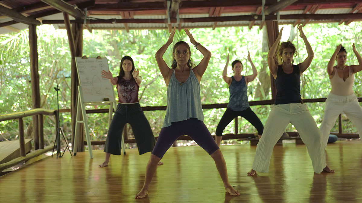 The 14 Jewels of Qigong: The Buddhist Legacy of Shaolin Adapted for the Modern Practitioner